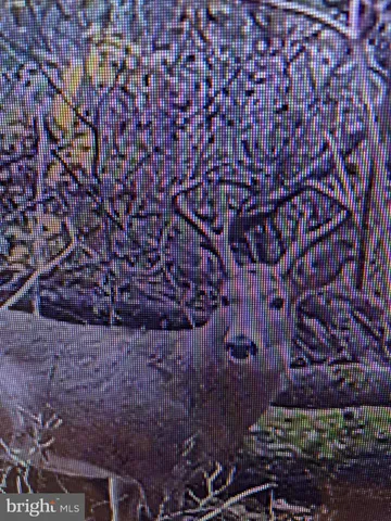 a view of outdoor seating space