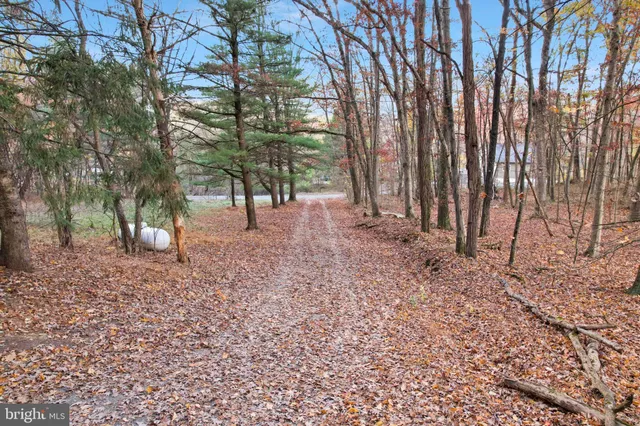a living room with furniture and a gate