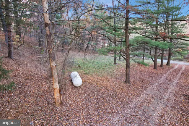 a bedroom with bed and window