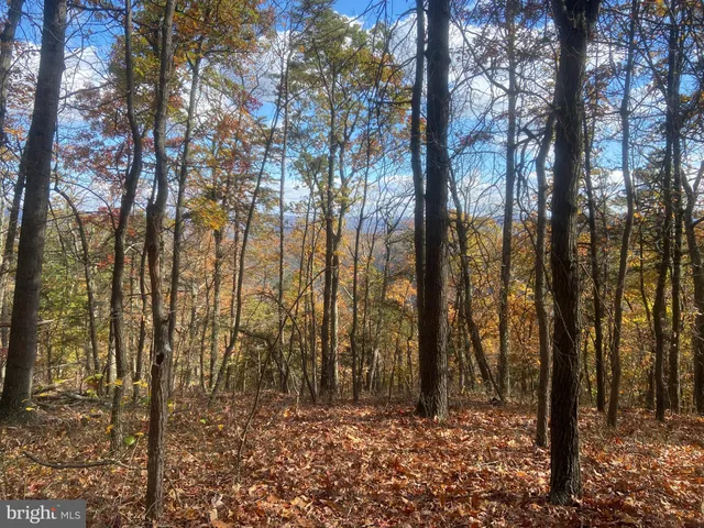 a view of a interior of the house