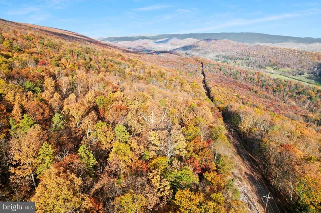 a view of a white house next to a yard with large trees