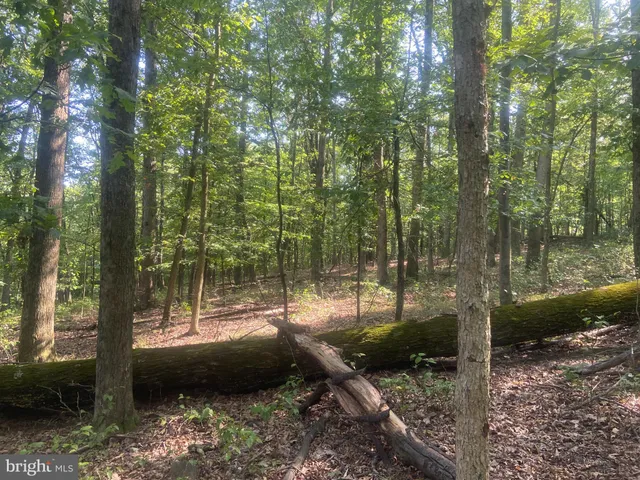 $349,000 | 12401 Amherst Avenue Northeast, Cumberland, MD 21502