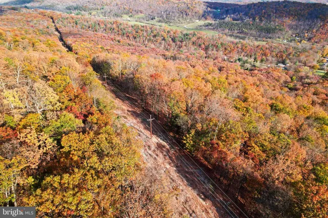 a front view of a house with a yard and large trees