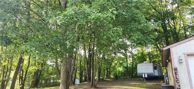 a view of a large garden with plants and large trees