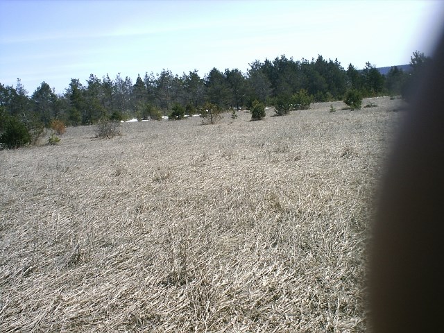 Off Off Doerr Road Mancelona, MI 49659 - Photo 8 of 9 1844344-7.JPG