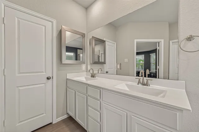 a bathroom with a sink vanity and a mirror