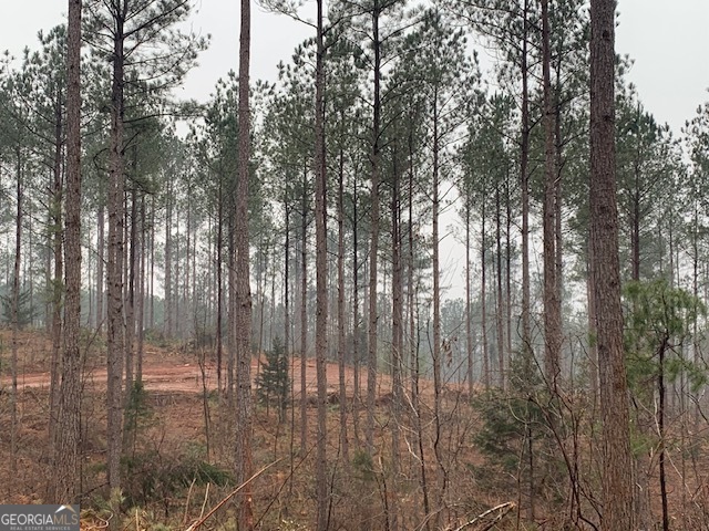 2660 Parham Town Road Bowman, GA 30624 - Photo 11 of 12 a view of forest