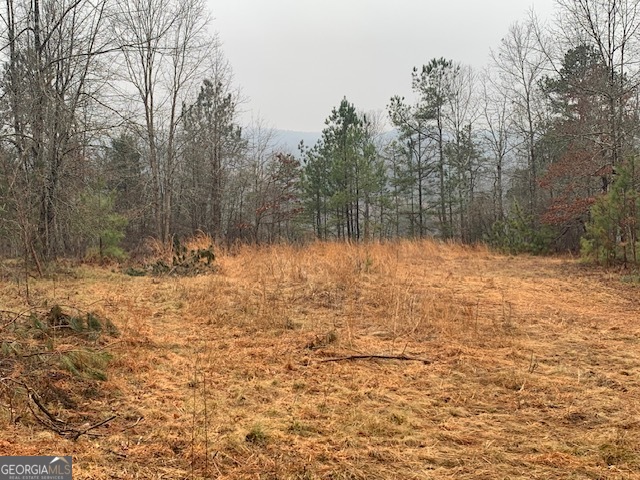 2660 Parham Town Road Bowman, GA 30624 - Photo 3 of 12 a view of lake view
