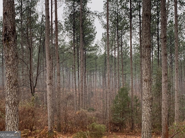 2660 Parham Town Road Bowman, GA 30624 - Photo 4 of 12 a view of forest
