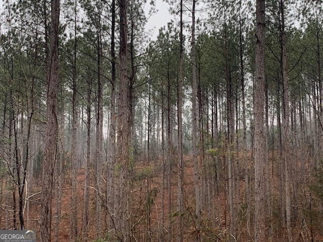 2660 Parham Town Road Bowman, GA 30624 - Photo 7 of 12 a view of forest