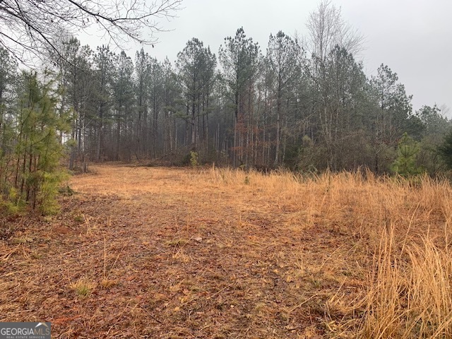 2660 Parham Town Road Bowman, GA 30624 - Photo 9 of 12 a view of yard with trees