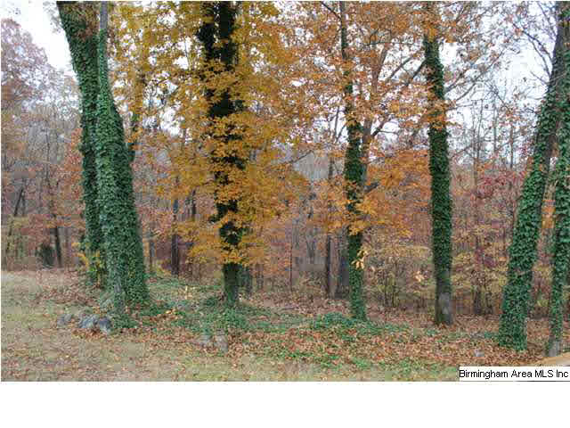 2649 Rabbit Branch Road Cropwell, AL 35054 - Photo 20 of 27