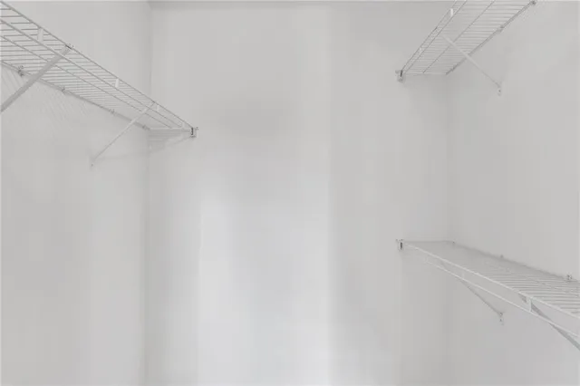 a view of yard along with trees