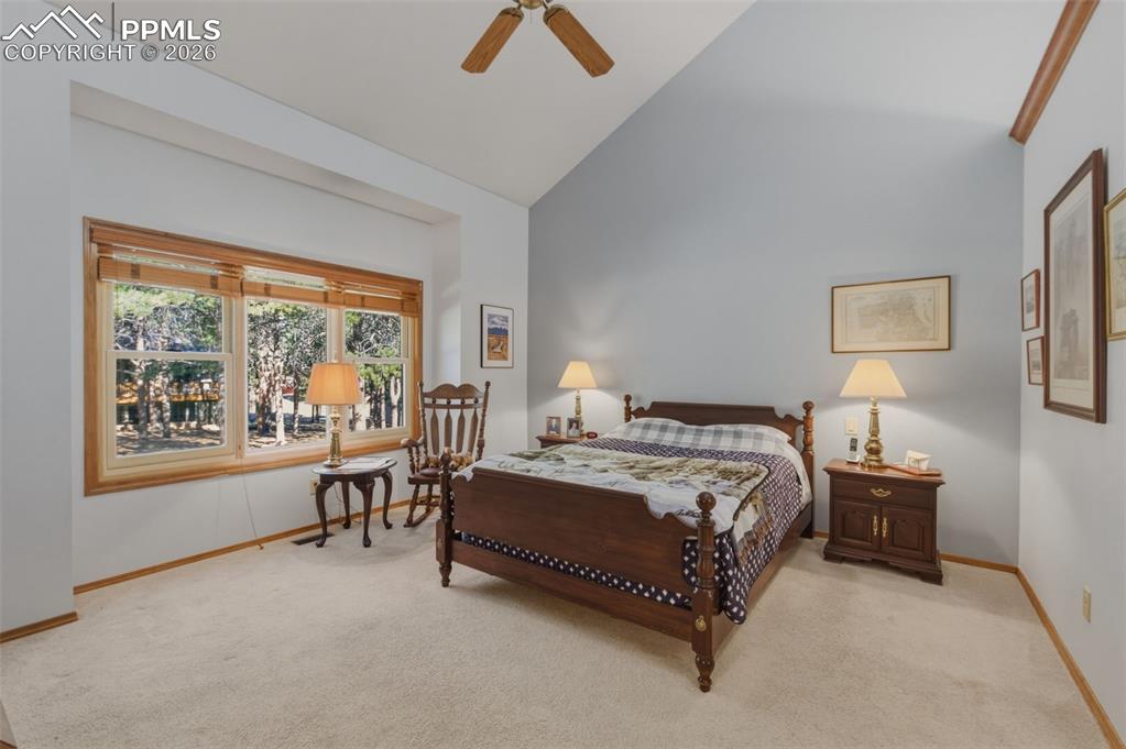 460 St Moritz Way Monument, CO 80132 - Photo 19 of 43