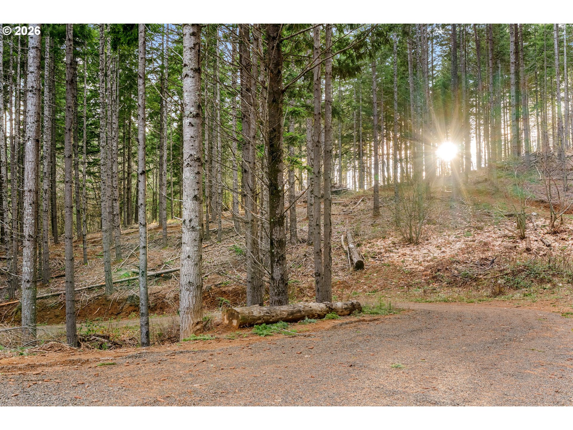 1202 Scoggins Road Underwood, WA 98651 - Photo 37 of 47