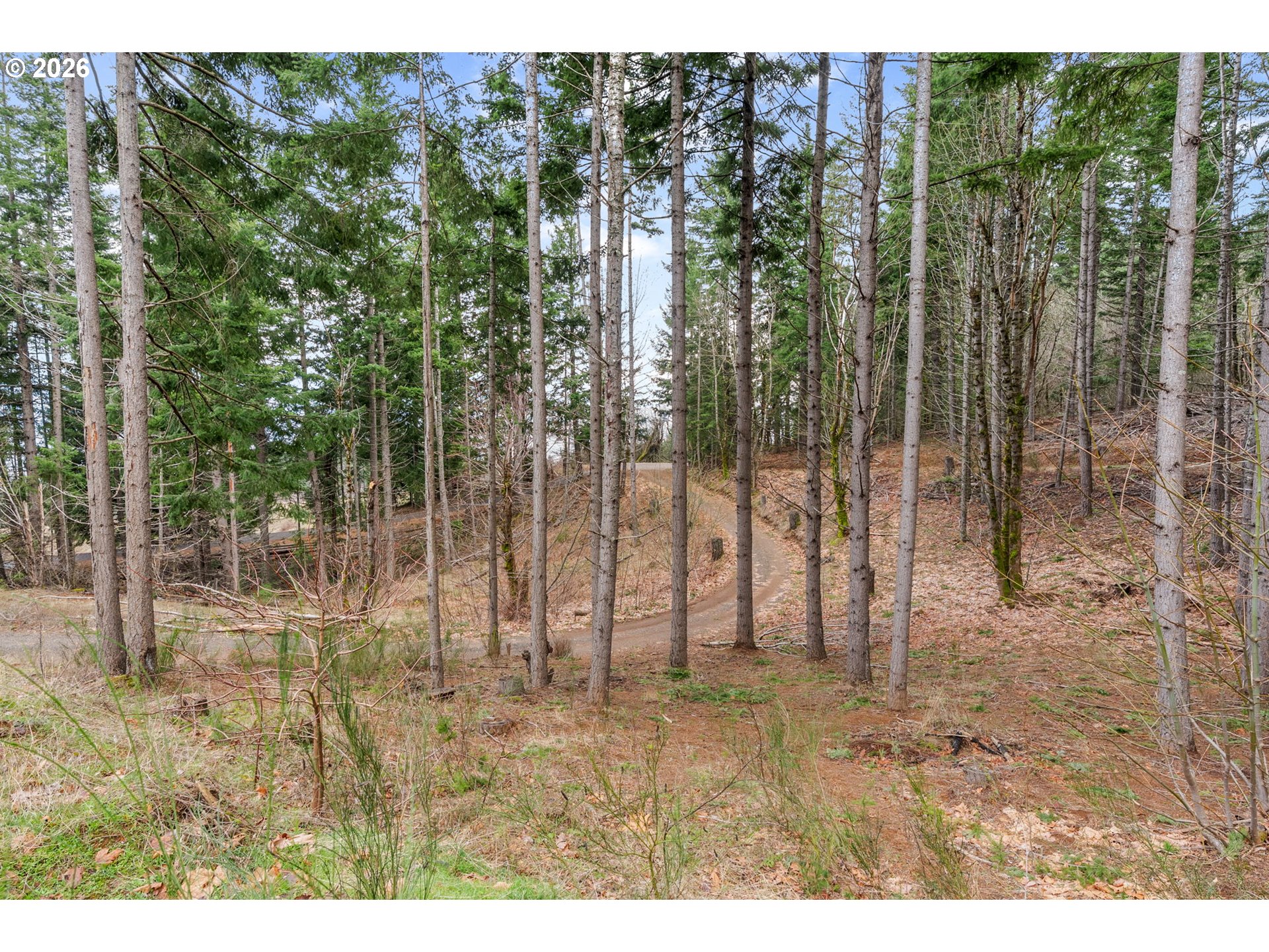 1202 Scoggins Road Underwood, WA 98651 - Photo 44 of 47