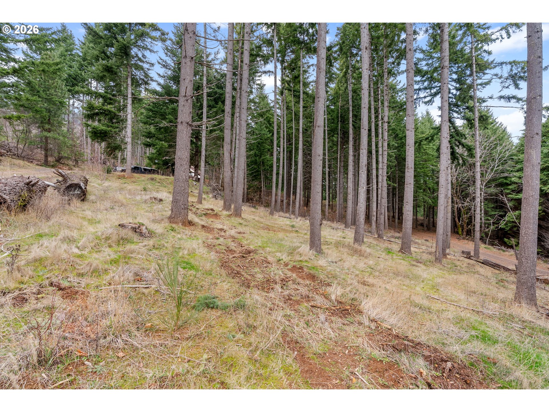 1202 Scoggins Road Underwood, WA 98651 - Photo 45 of 47