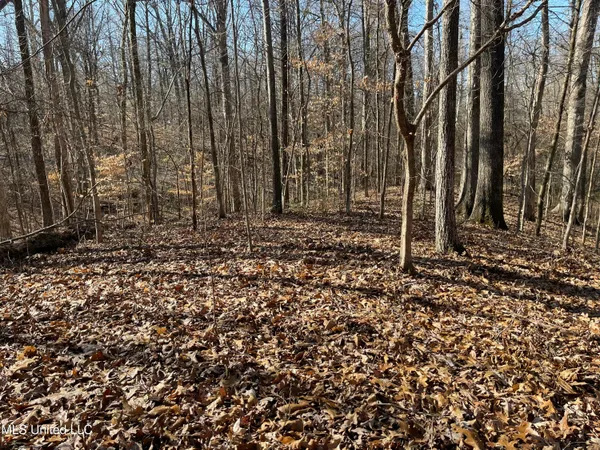 $17,900 | 2311 Pocahontas Cove, Hernando, MS 38632