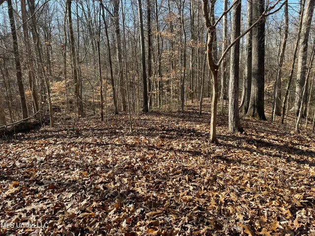 $17,900 | 2311 Pocahontas Cove, Hernando, MS 38632