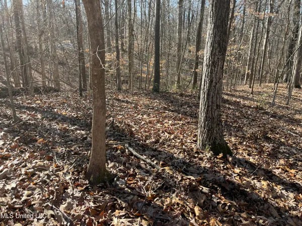 $17,900 | 2311 Pocahontas Cove, Hernando, MS 38632