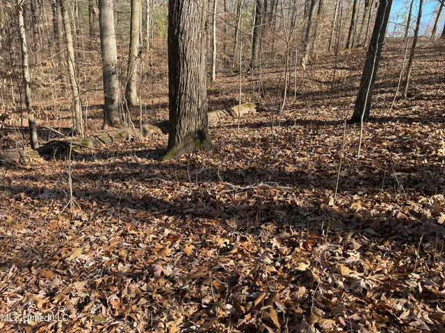 $17,900 | 2311 Pocahontas Cove, Hernando, MS 38632