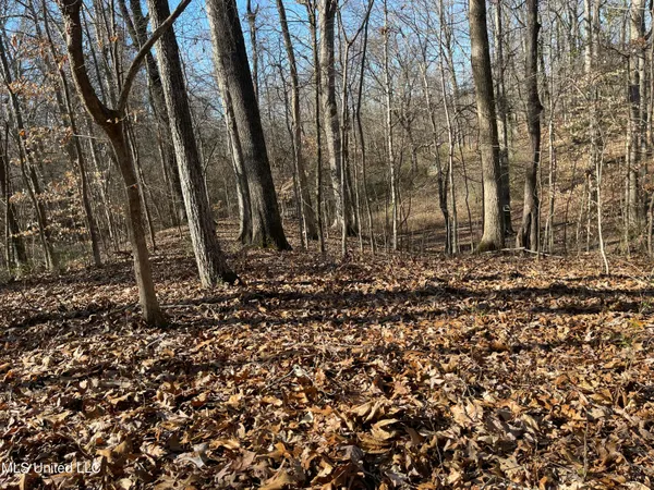 $17,900 | 2311 Pocahontas Cove, Hernando, MS 38632