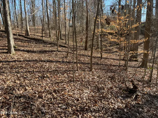 $17,900 | 2311 Pocahontas Cove, Hernando, MS 38632