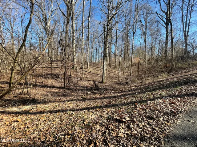 $17,900 | 2311 Pocahontas Cove, Hernando, MS 38632