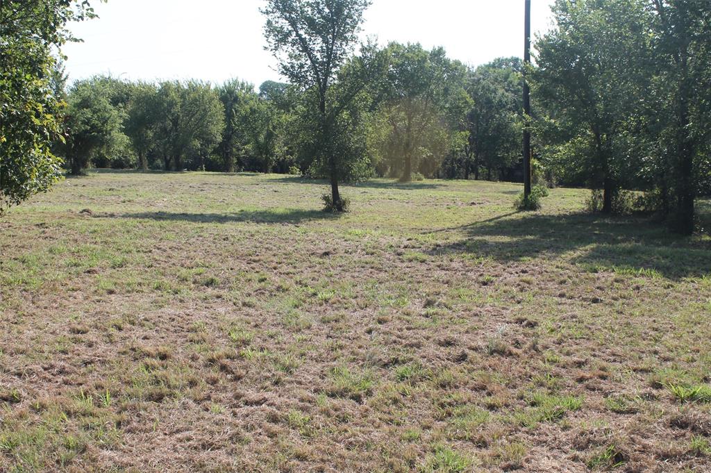 9935 Zion Hill Road Poolville, TX 76487 - Photo 9 of 22
