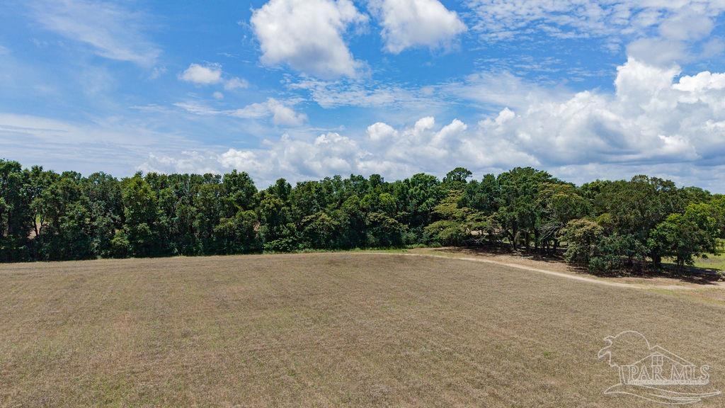 17 Three Three Oaks Lane Pace, FL 32571 - Photo 3 of 10