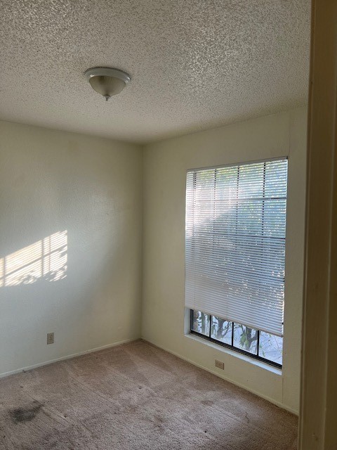 112 Verna Spur, Unit B Georgetown, TX 78628 - Photo 20 of 23 an empty room with windows