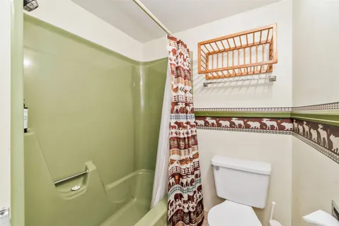 a bathroom with a toilet and a shower