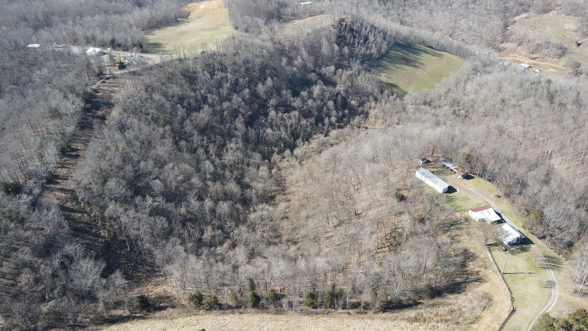 1074 Basham Ridge Road Woodbury, TN 37190 - Photo 4 of 27 Gallery Image 4