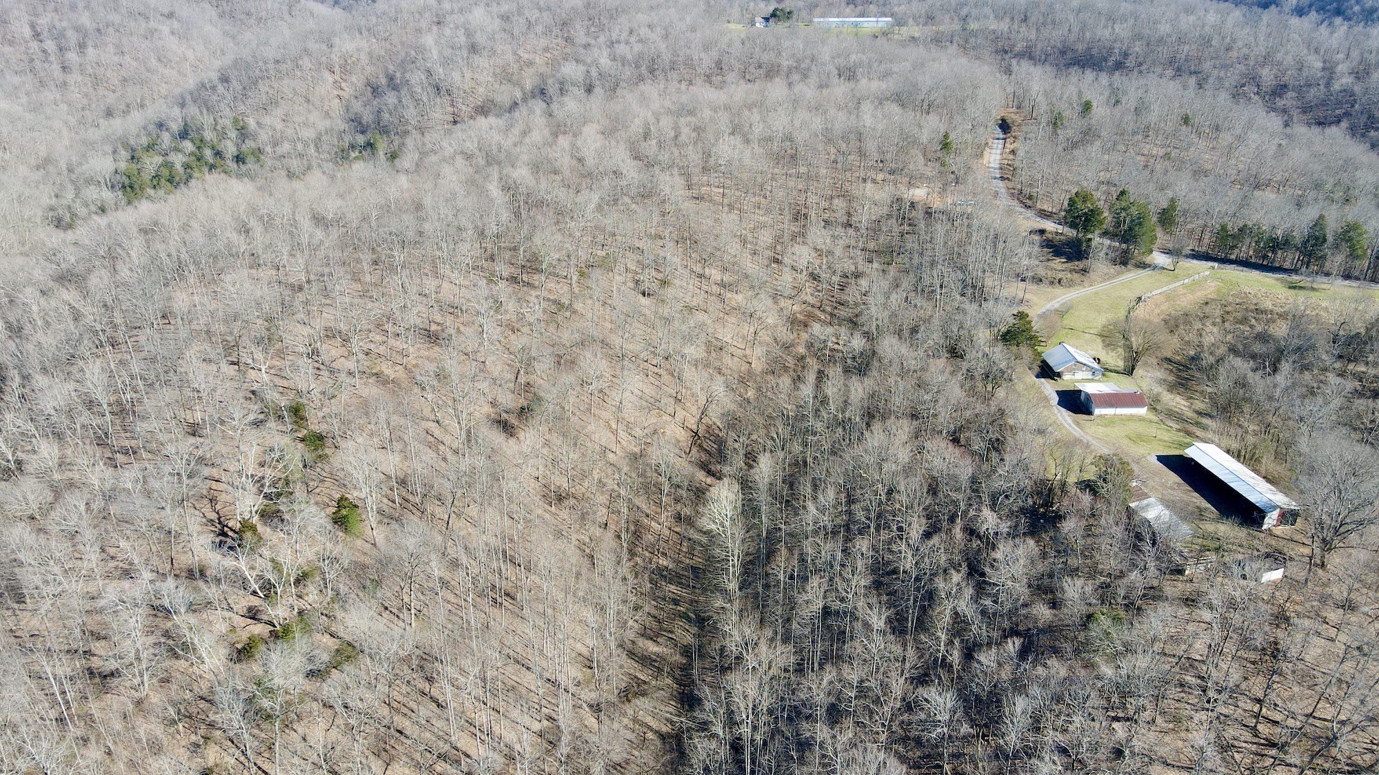 1074 Basham Ridge Road Woodbury, TN 37190 - Photo 7 of 27 Gallery Image 7