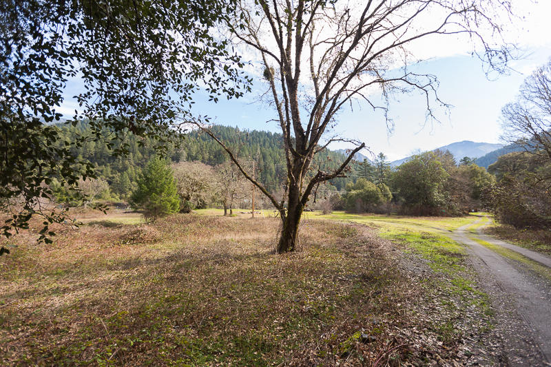 5539 Highway 299 Burnt Ranch, CA 95527 - Photo 4 of 16 RMP-2