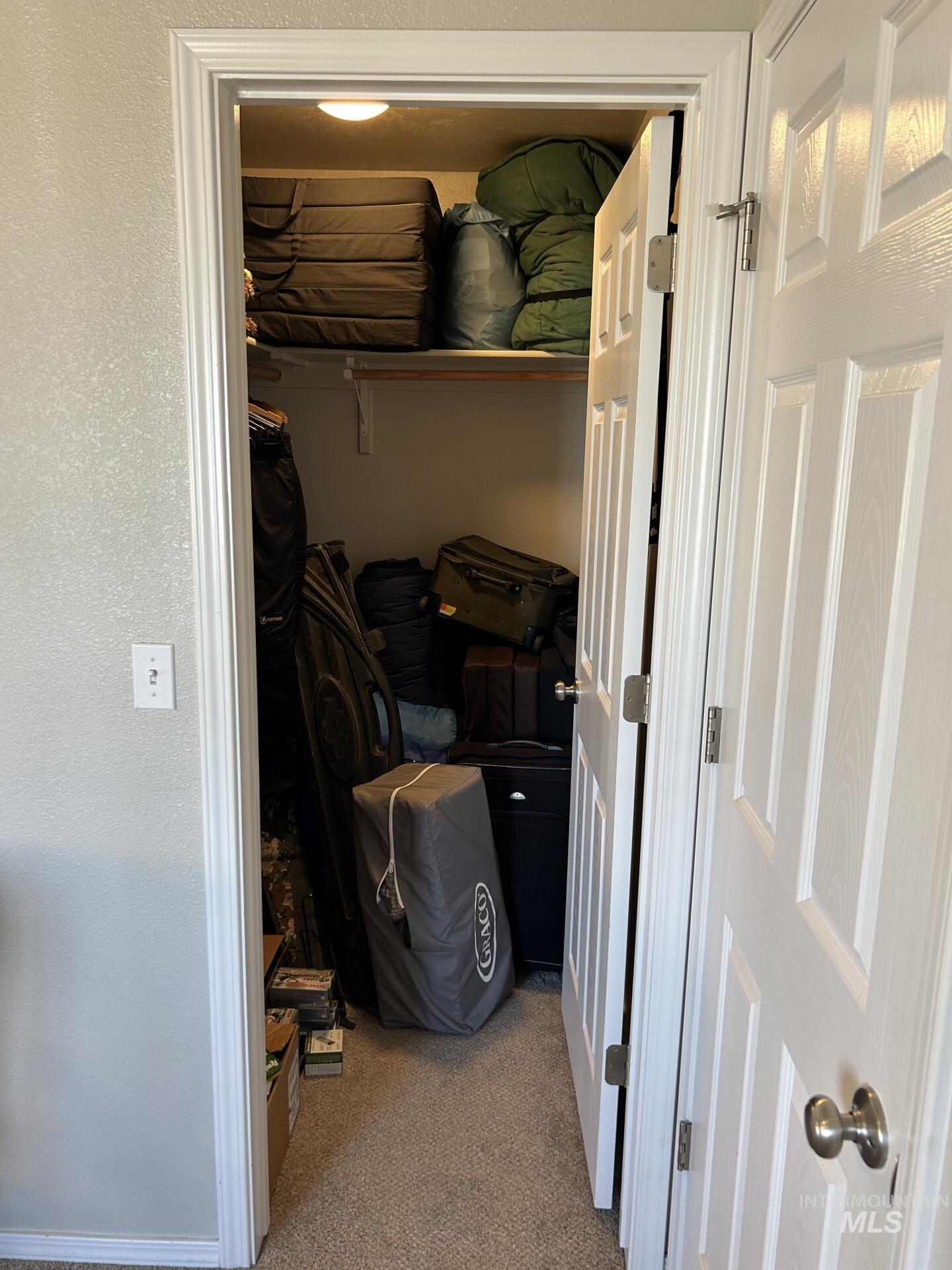 5614 Barkley Way Caldwell, ID 83607 - Photo 33 of 50 Walk in closet featuring light carpet