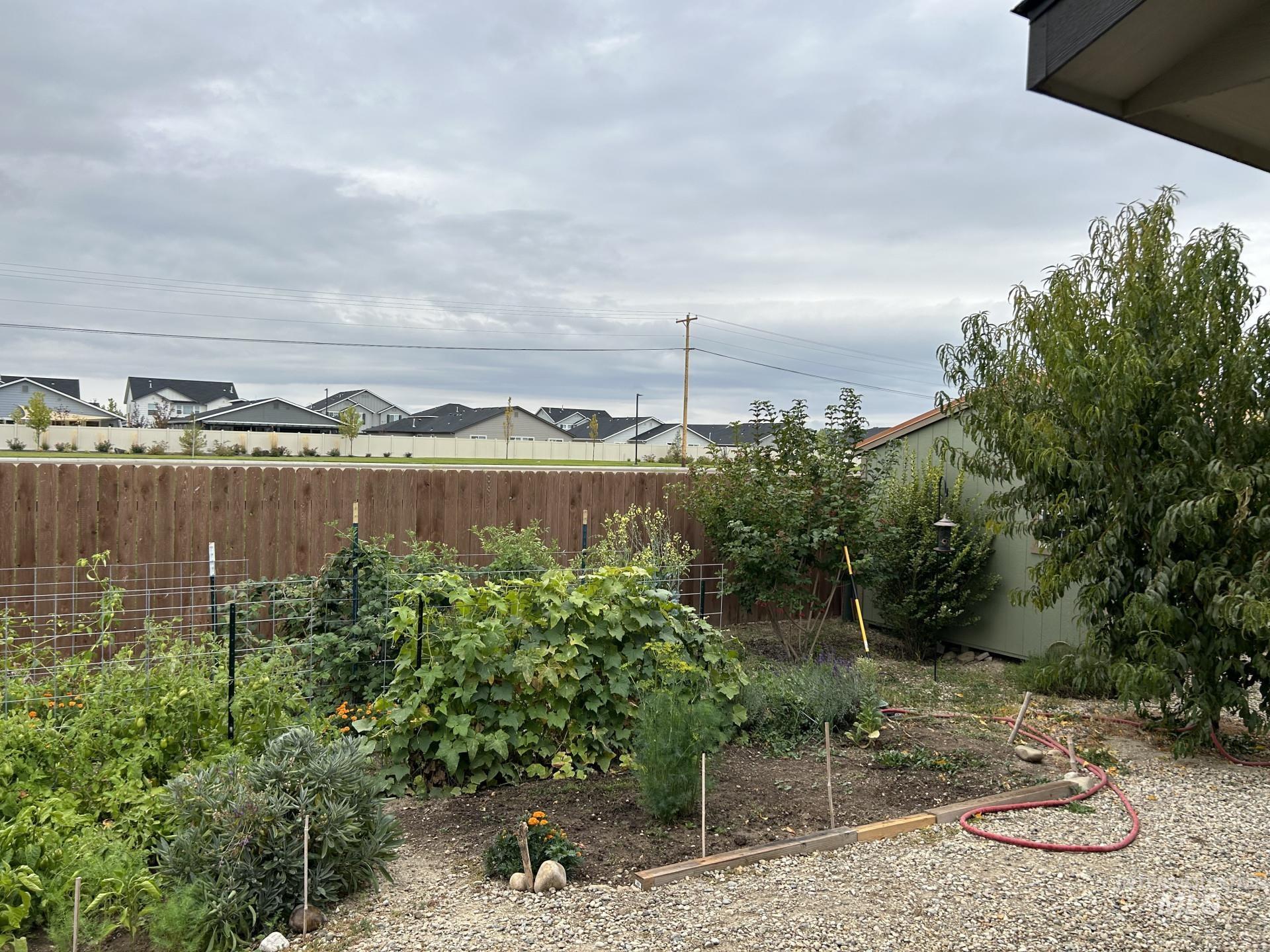 5614 Barkley Way Caldwell, ID 83607 - Photo 8 of 50 Fenced backyard featuring a residential view