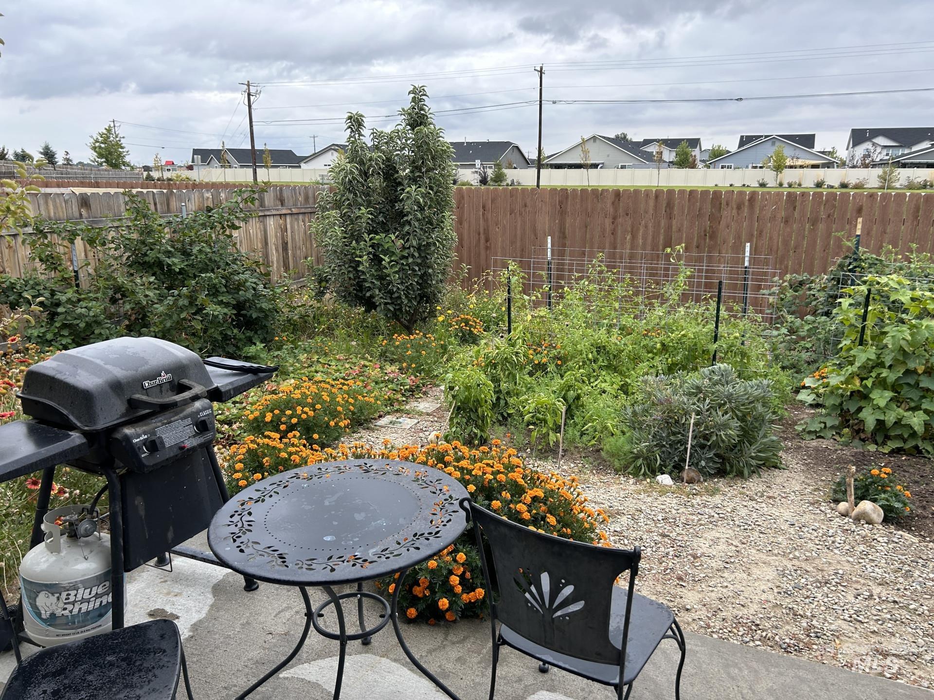 5614 Barkley Way Caldwell, ID 83607 - Photo 9 of 50 Fenced backyard with area for grilling