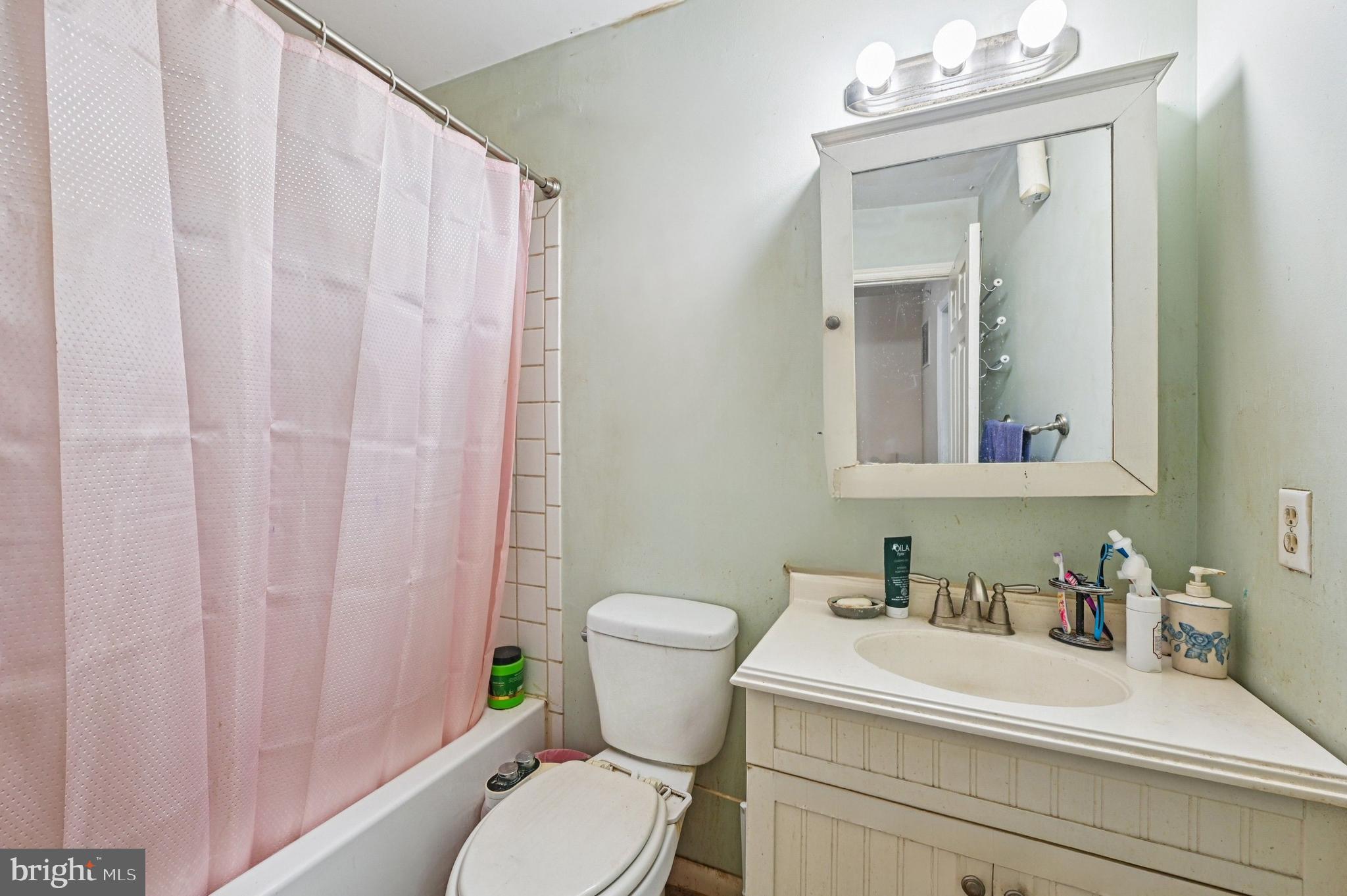 6919 Myersview Drive Baltimore, MD 21220 - Photo 10 of 19 a bathroom with a sink a toilet and a mirror