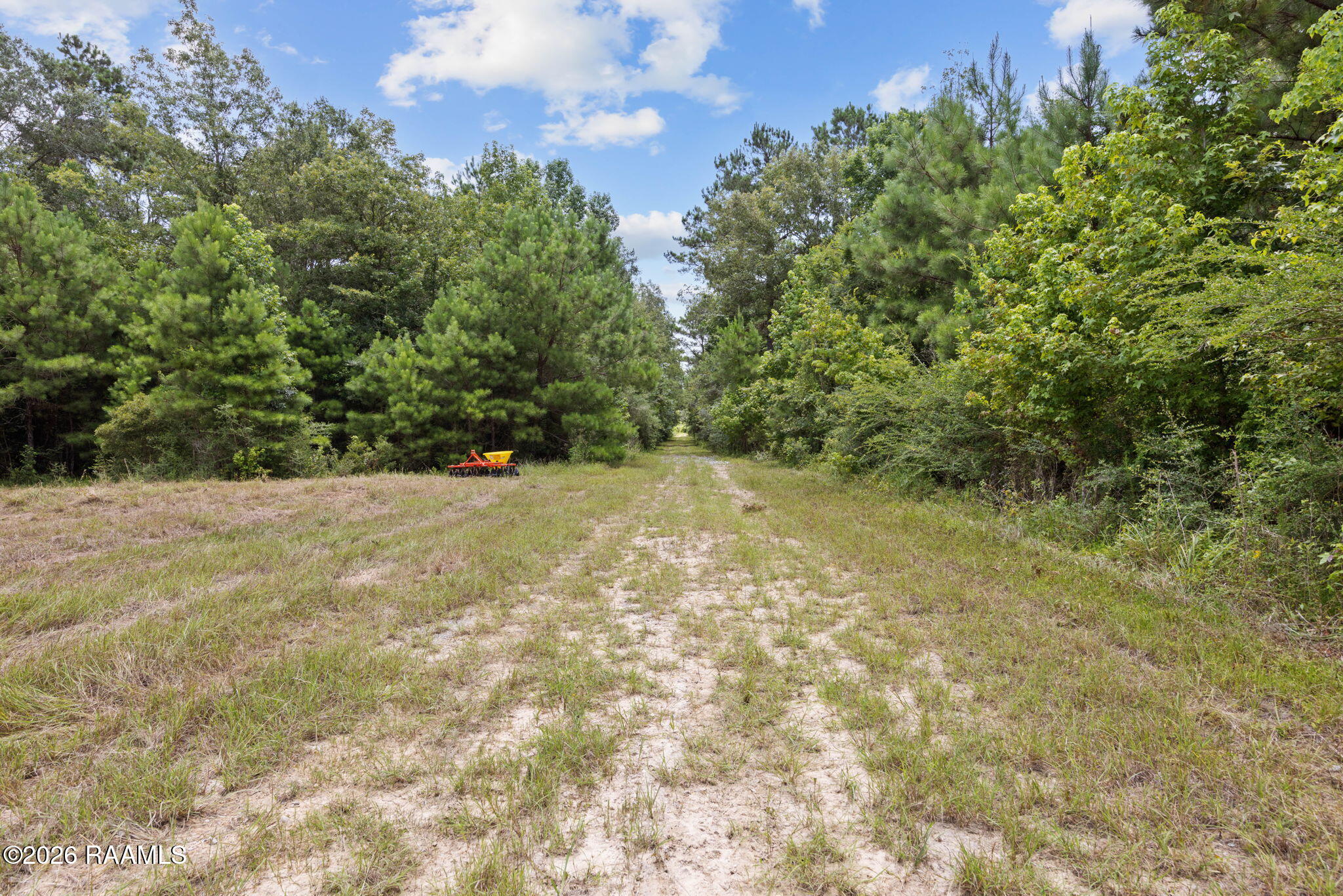 301 Crabapple Road Iota, LA 70543 - Photo 15 of 40 15-web-or-mls-803A6147
