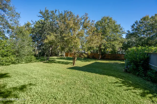 a view of a yard with a tree