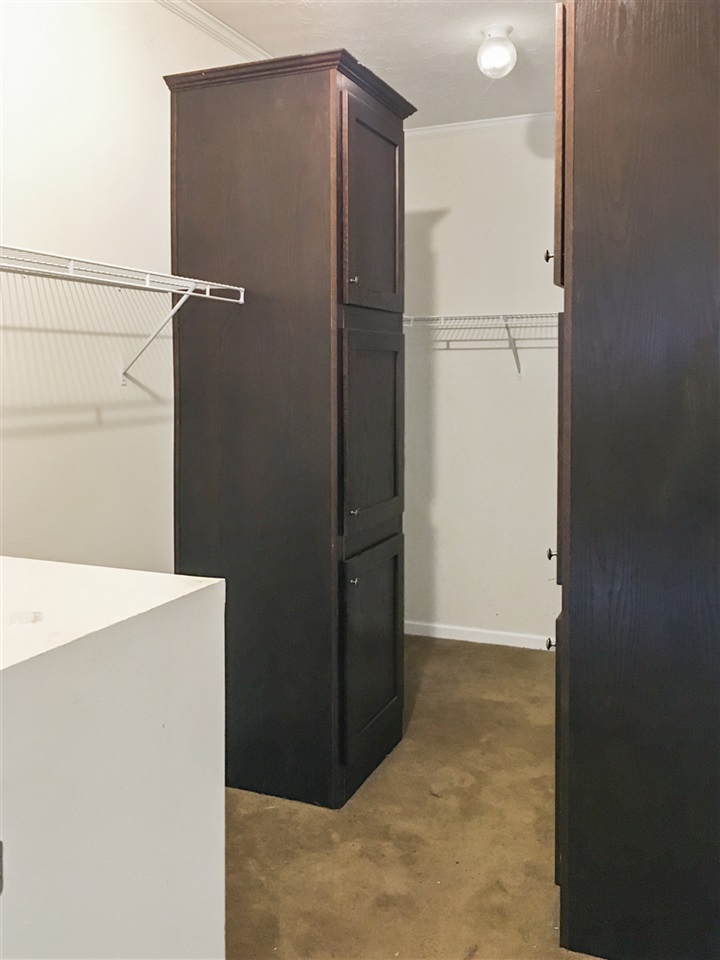 1316 Miles Jackson Road Palmyra, VA 22963 - Photo 17 of 22 a view of cabinets