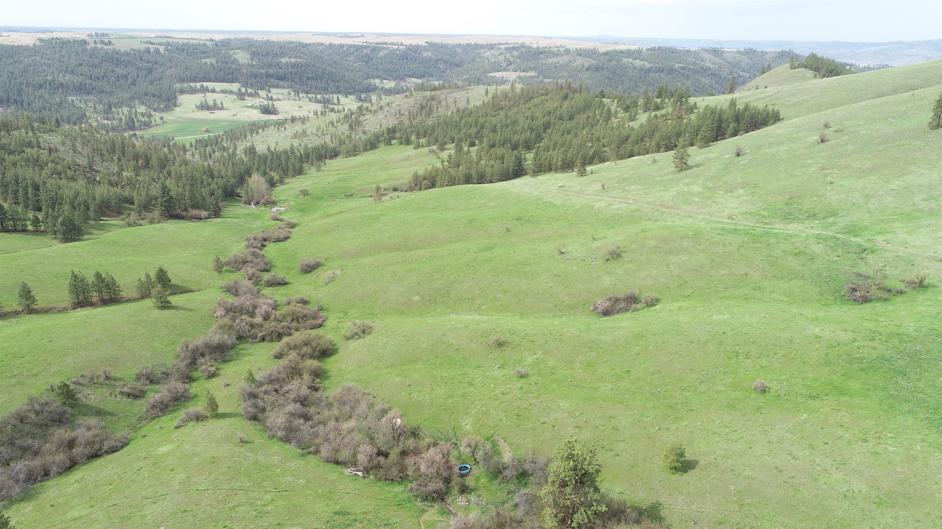 Xxx Egypt Loop Road, Unit SUNSET MOUNTAIN RIDGE Davenport, WA 99122 - Photo 4 of 16