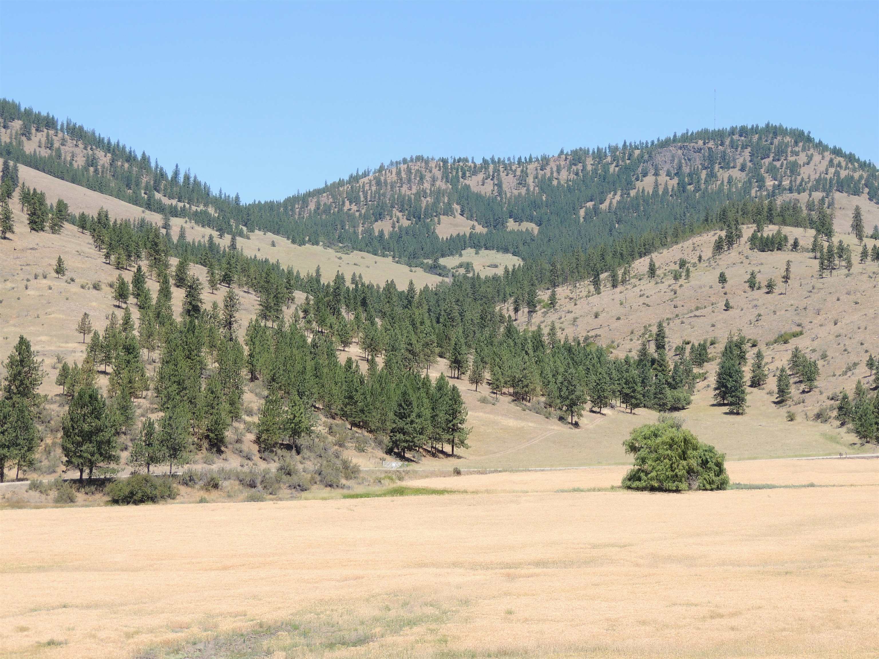 Xxx Egypt Loop Road, Unit SUNSET MOUNTAIN RIDGE Davenport, WA 99122 - Photo 5 of 16