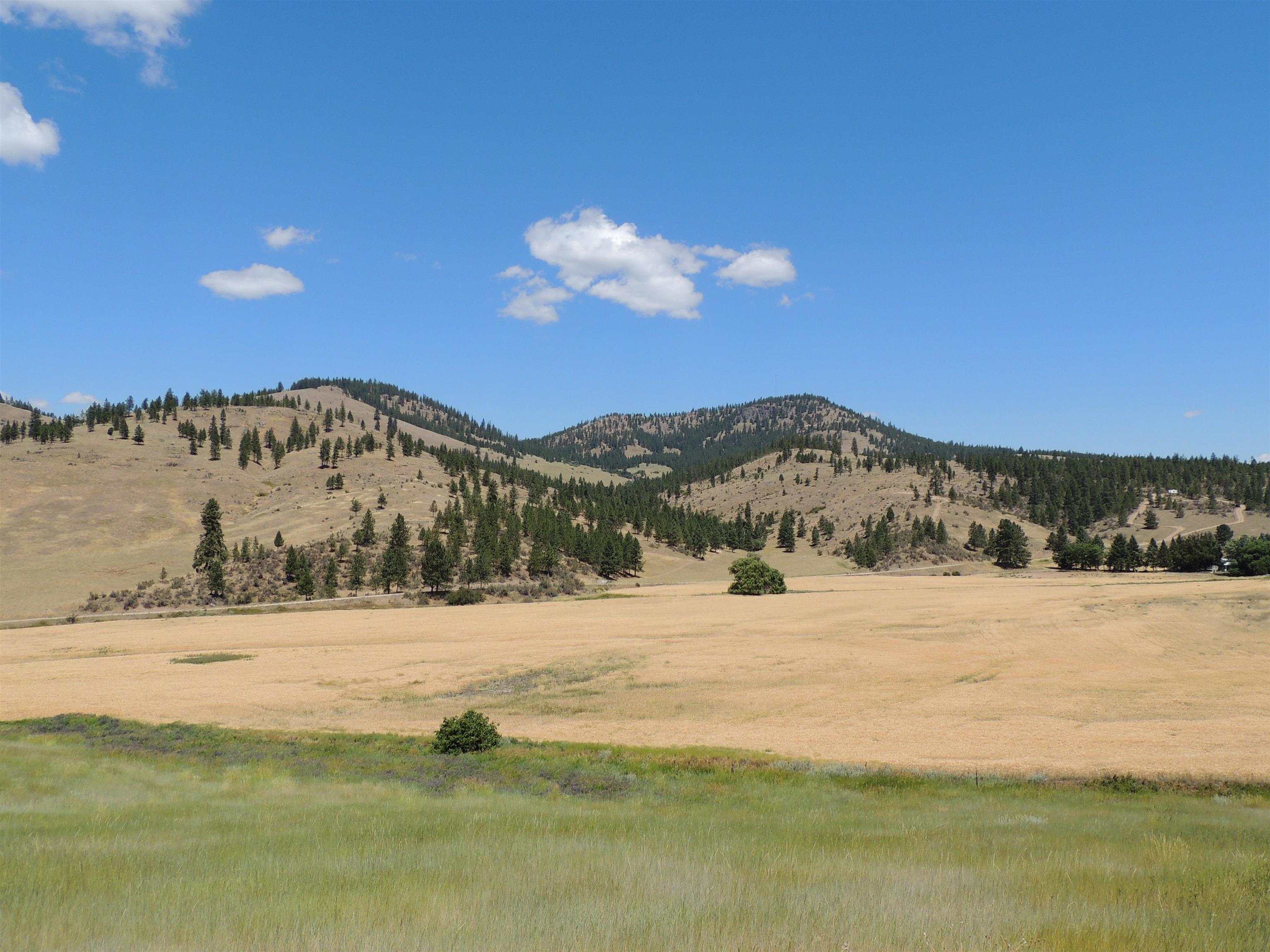 Xxx Egypt Loop Road, Unit SUNSET MOUNTAIN RIDGE Davenport, WA 99122 - Photo 6 of 16