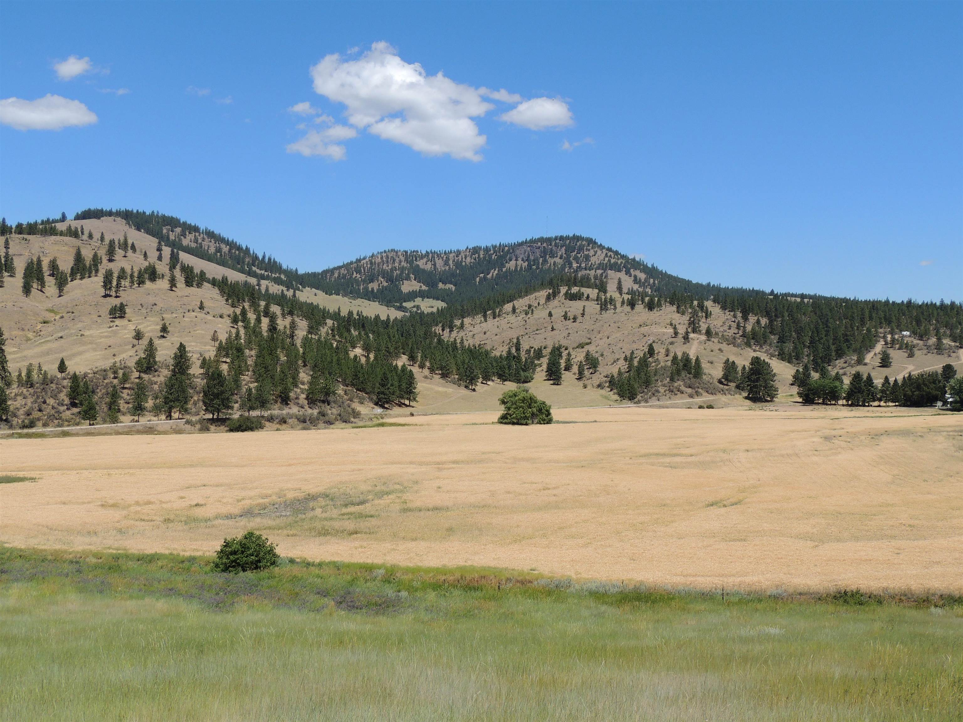 Xxx Egypt Loop Road, Unit SUNSET MOUNTAIN RIDGE Davenport, WA 99122 - Photo 7 of 16