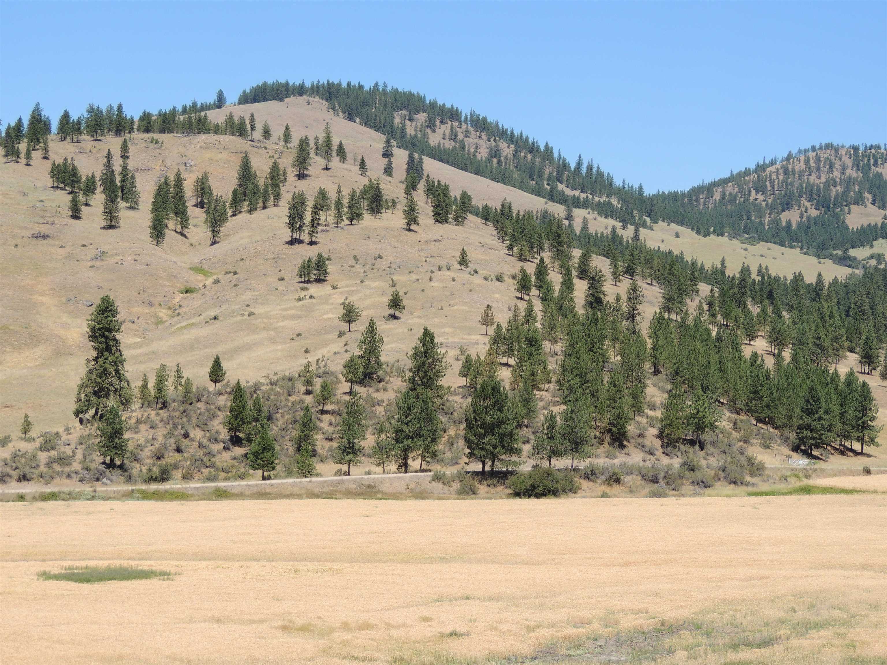 Xxx Egypt Loop Road, Unit SUNSET MOUNTAIN RIDGE Davenport, WA 99122 - Photo 8 of 16