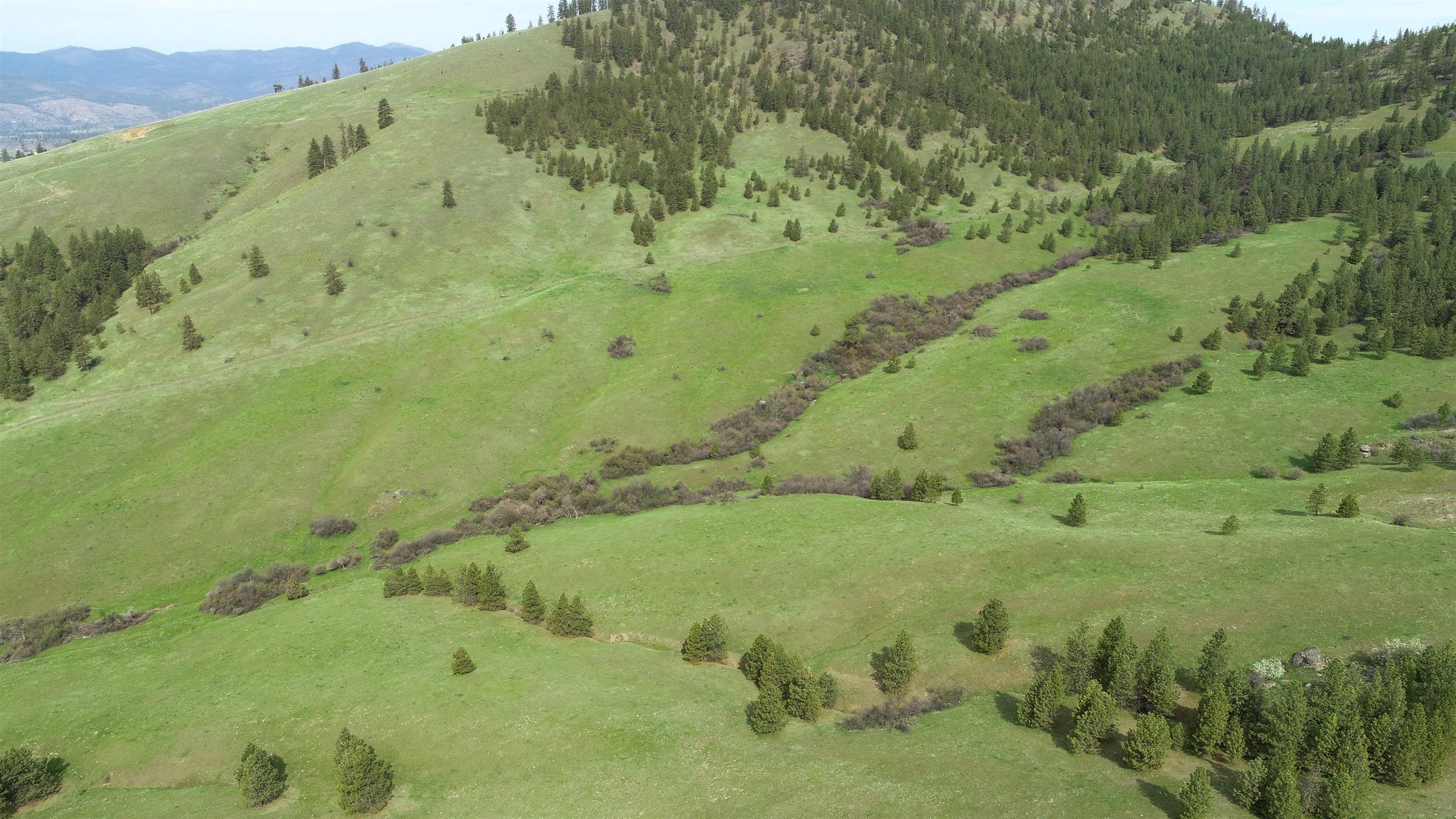 Xxx Egypt Loop Road, Unit SUNSET MOUNTAIN RIDGE Davenport, WA 99122 - Photo 9 of 16