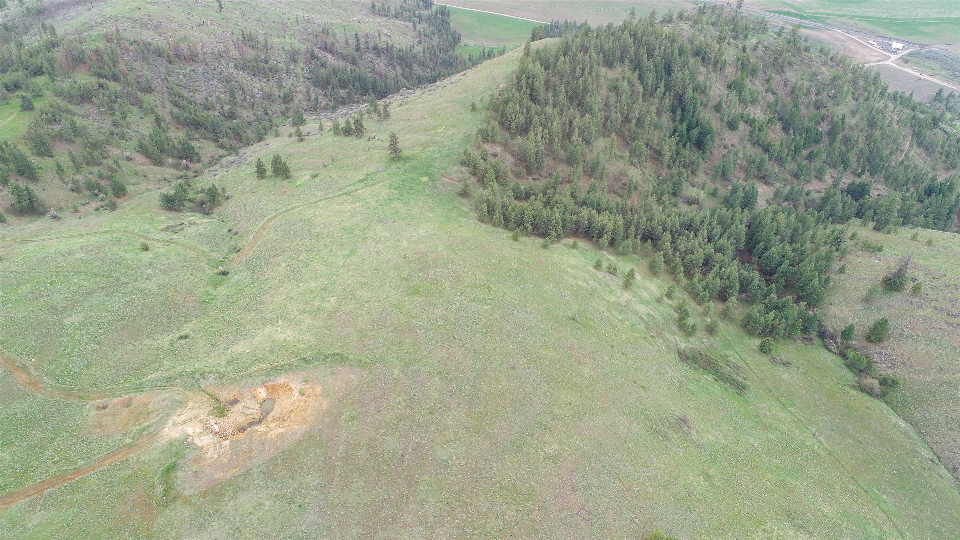 Xxx Egypt Loop Road, Unit SUNSET MOUNTAIN RIDGE Davenport, WA 99122 - Photo 10 of 16