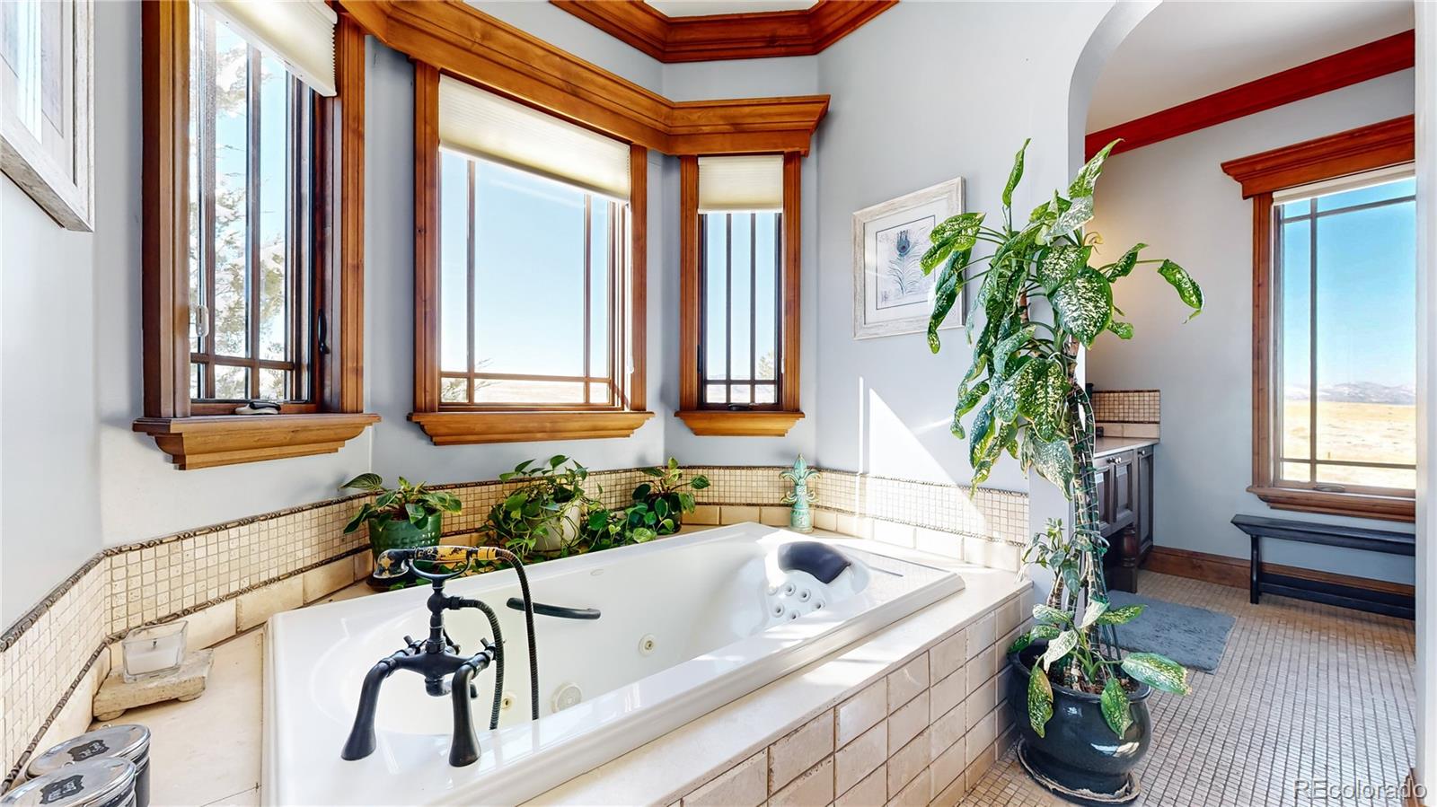 7755 North Moore Road Littleton, CO 80125 - Photo 20 of 46 a bath tub sitting in a bathroom next to a window